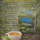 Chás de Ervas Naturais – Bem-Estar e Sabor da Natureza