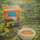 Chás de Ervas Naturais – Bem-Estar e Sabor da Natureza