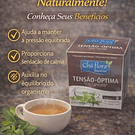 Chás de Ervas Naturais – Bem-Estar e Sabor da Natureza