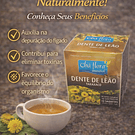 Chás de Ervas Naturais – Bem-Estar e Sabor da Natureza
