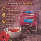 Chás de Ervas Naturais – Bem-Estar e Sabor da Natureza