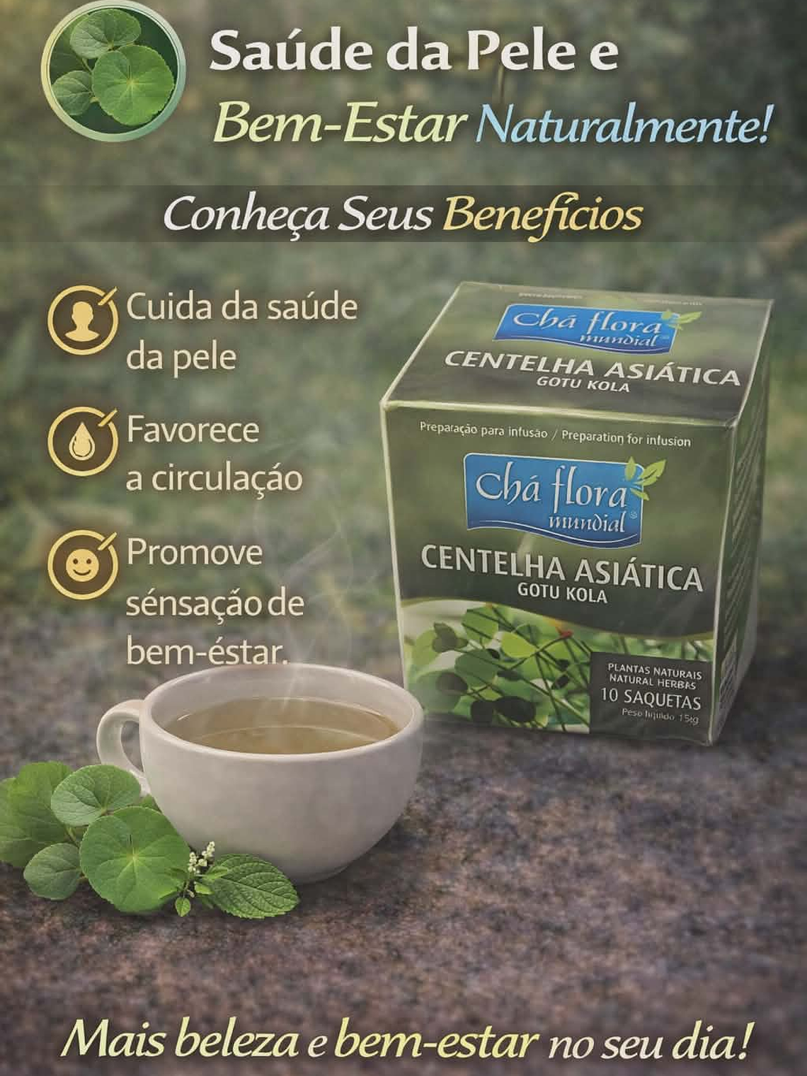 Chás de Ervas Naturais – Bem-Estar e Sabor da Natureza 29