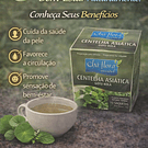 Chás de Ervas Naturais – Bem-Estar e Sabor da Natureza