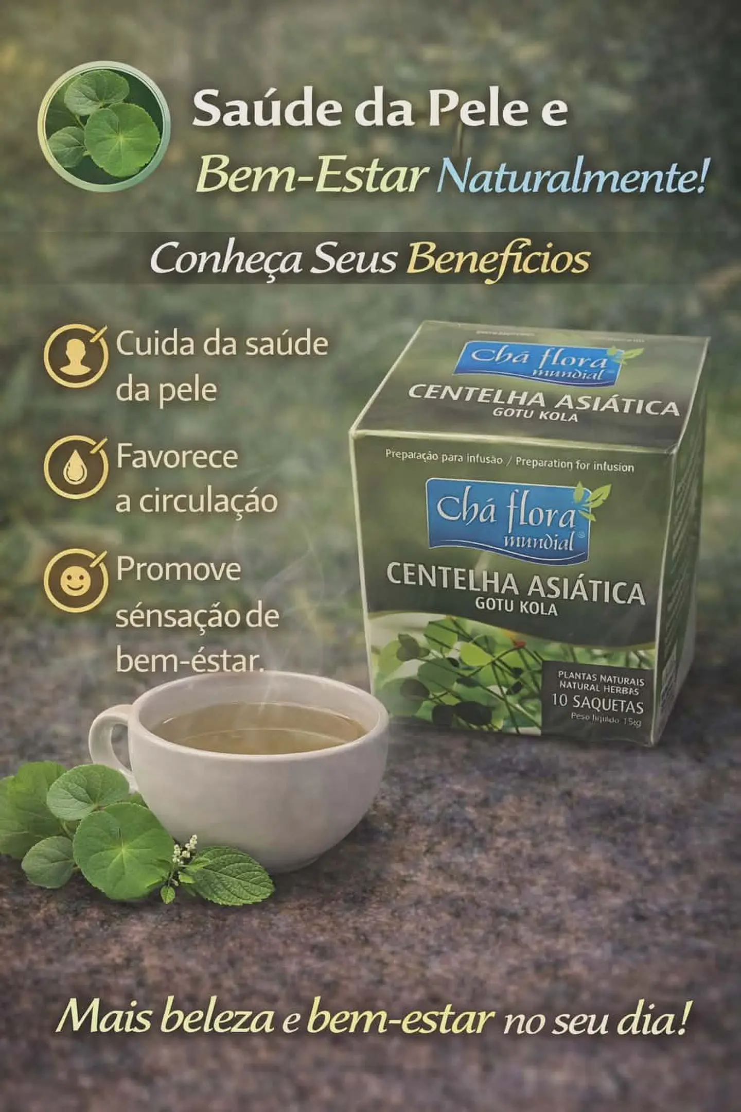 Chás de Ervas Naturais – Bem-Estar e Sabor da Natureza 29