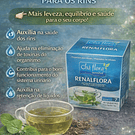 Chás de Ervas Naturais – Bem-Estar e Sabor da Natureza
