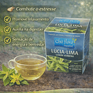 Chás de Ervas Naturais – Bem-Estar e Sabor da Natureza