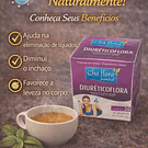 Chás de Ervas Naturais – Bem-Estar e Sabor da Natureza