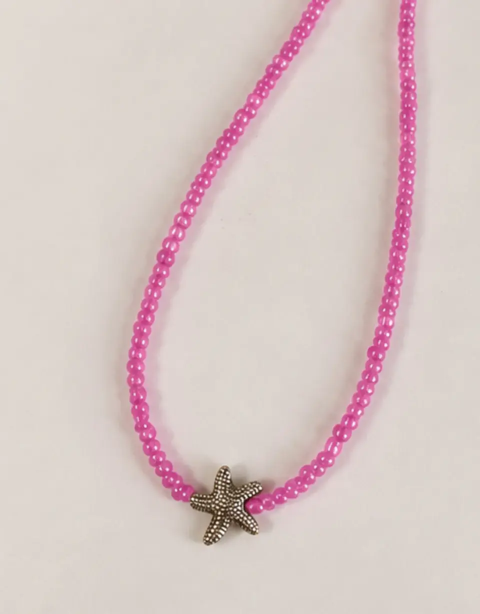 Colar missangas e estrela do mar  1