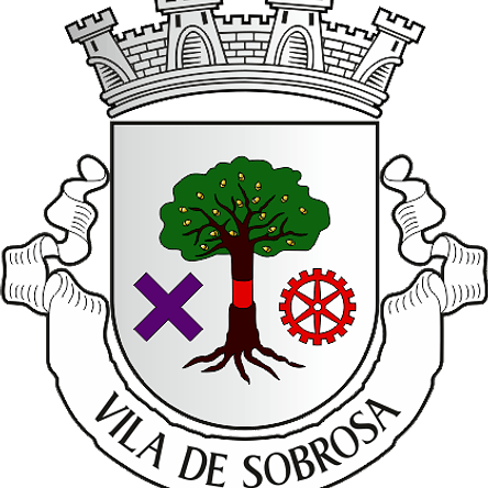 Emblema Bordado Freguesia de Sobrosa (Paredes, Porto) 1