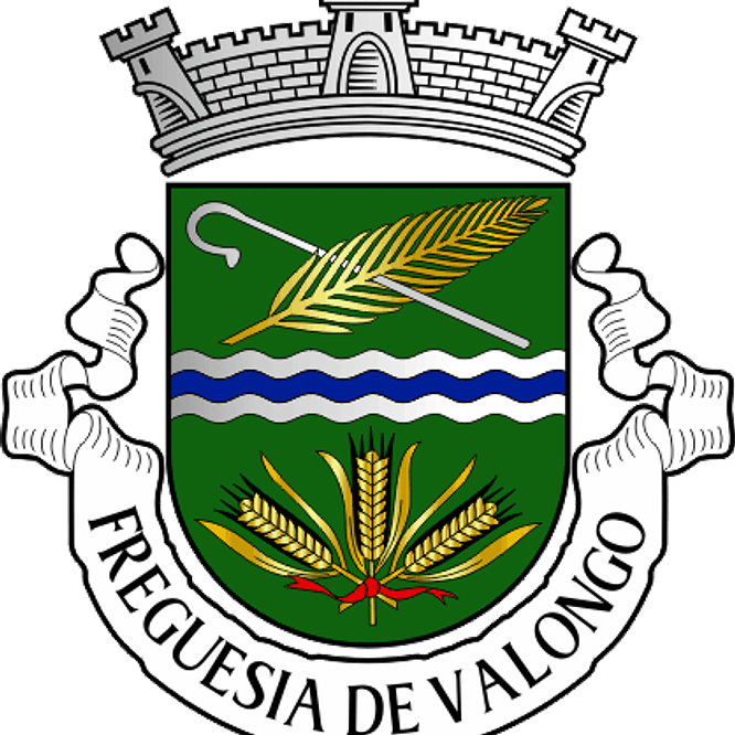 Emblema Bordado Freguesia de Valongo (Valongo, Porto) 1