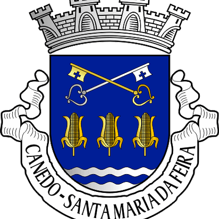 Emblema Bordado Freguesia de Canedo (Ribeira de Pena, Vila Real) 1