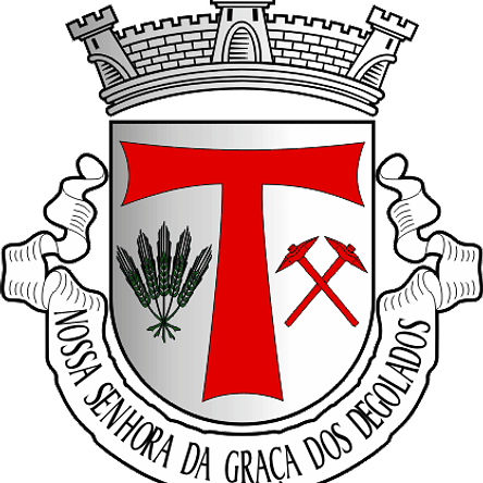 Emblema Bordado Freguesia de Nossa Senhora da Graça dos Degolados (Campo Maior, Portalegre) 1