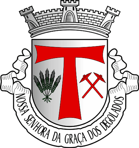 Emblema Bordado Freguesia de Nossa Senhora da Graça dos Degolados (Campo Maior, Portalegre)