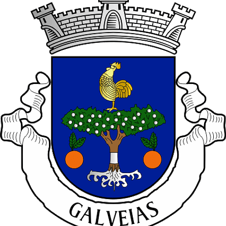 Emblema Bordado Freguesia de Galveias (Ponte de Sor, Portalegre) 1