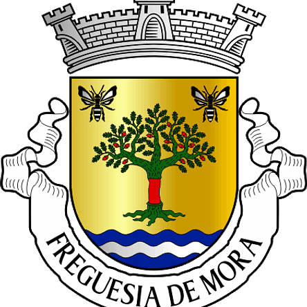 Emblema Bordado Freguesia de Mora (Mora, Évora) 1