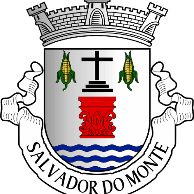 Emblema Bordado Freguesia de Salvador do Monte (Amarante, Porto) 1