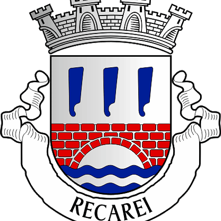 Emblema Bordado Freguesia de Recarei (Paredes, Porto) 1