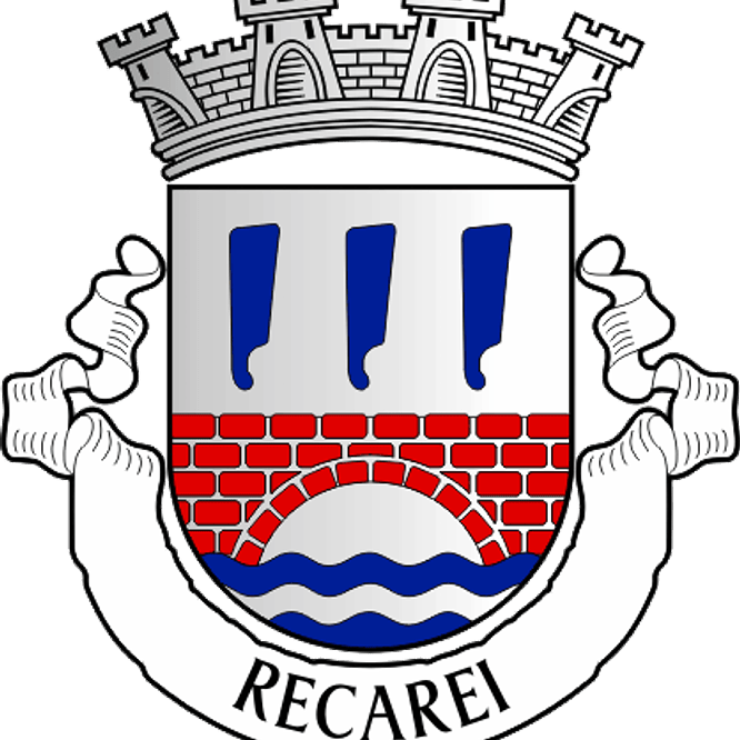 Emblema Bordado Freguesia de Recarei (Paredes, Porto) 1