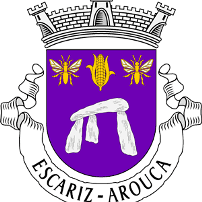 Emblema Bordado Freguesia de Escariz (Arouca, Aveiro) 1