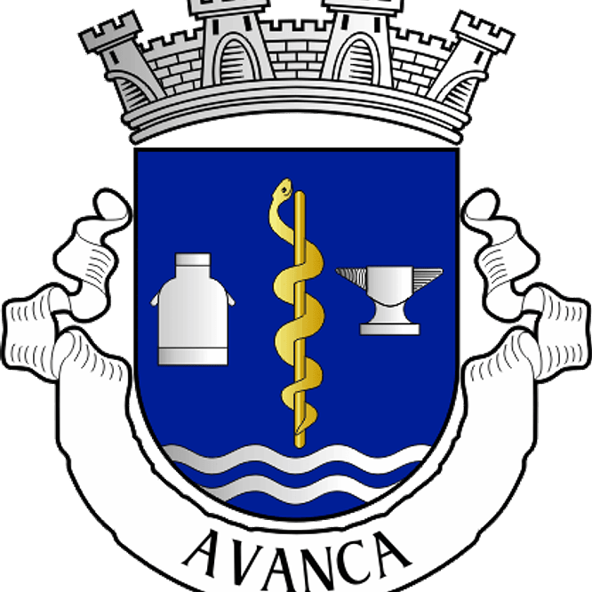 Emblema Bordado Freguesia de Avanca (Estarreja, Aveiro) 1