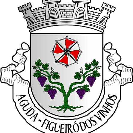 Emblema Bordado Freguesia de Aguda (Figueiró dos Vinhos, Leiria) 1
