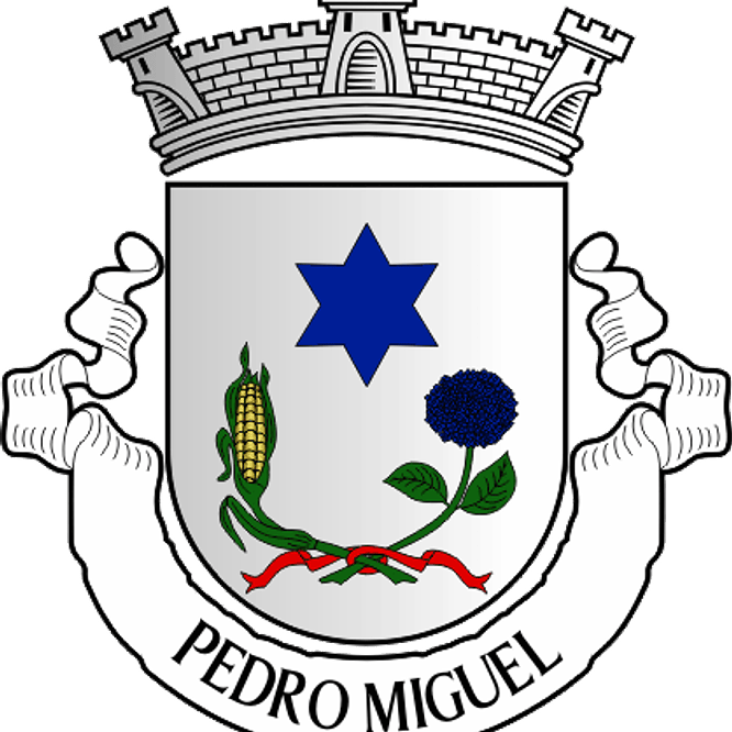 Emblema Bordado Freguesia de Pedro Miguel (Horta, Ilha do Faial) 1