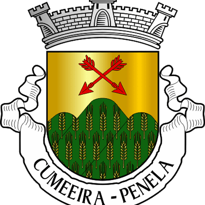 Emblema Bordado Freguesia de Cumeeira (Penela, Coimbra) 1
