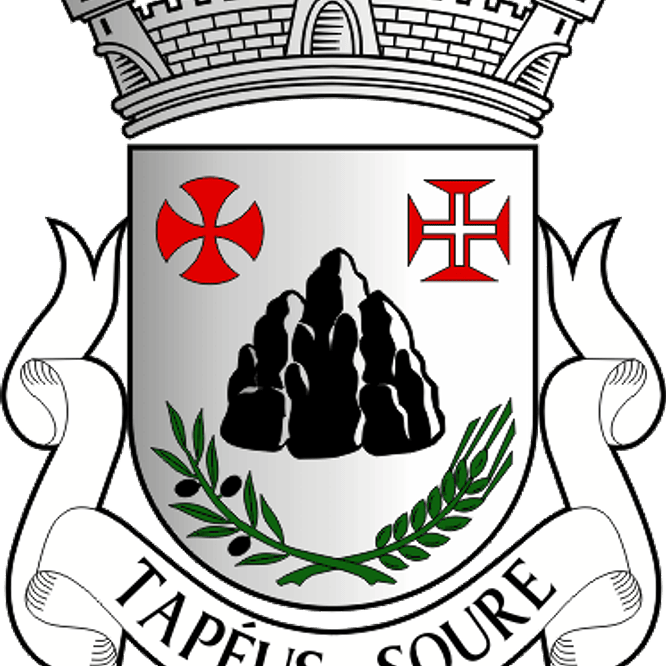 Emblema Bordado Freguesia de Tapéus (Soure, Coimbra) 1