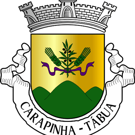 Emblema Bordado Freguesia de Carapinha (Tábua, Coimbra) 1