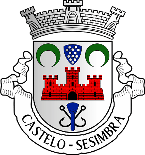 Emblema Bordado Freguesia de Castelo (Moimenta da Beira, Viseu)