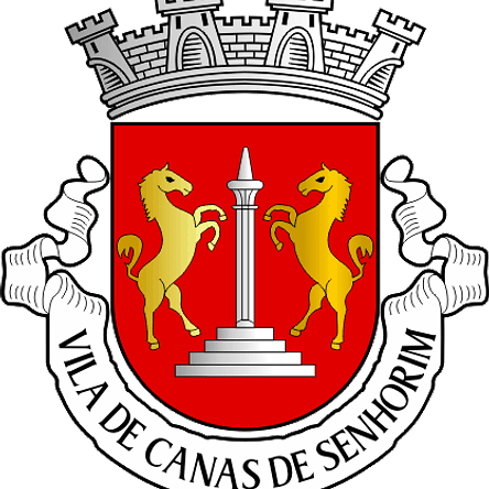 Emblema Bordado Freguesia de Canas de Senhorim (Nelas, Viseu) 1
