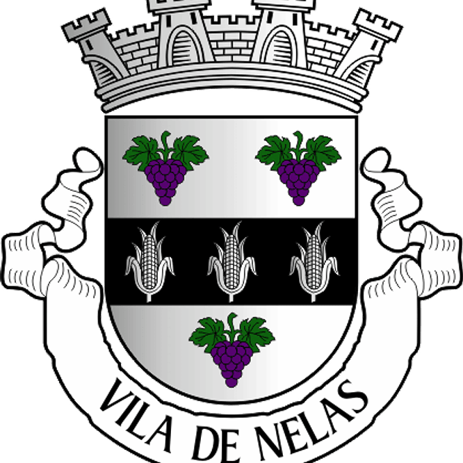 Emblema Bordado Freguesia de Nelas (Nelas, Viseu) 1