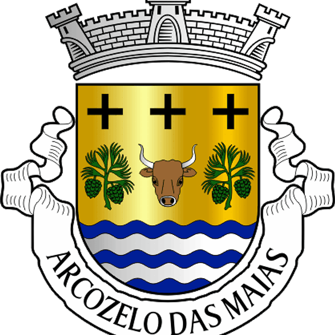 Emblema Bordado Freguesia de Arcozelo das Maias (Oliveira de Frades, Viseu) 1