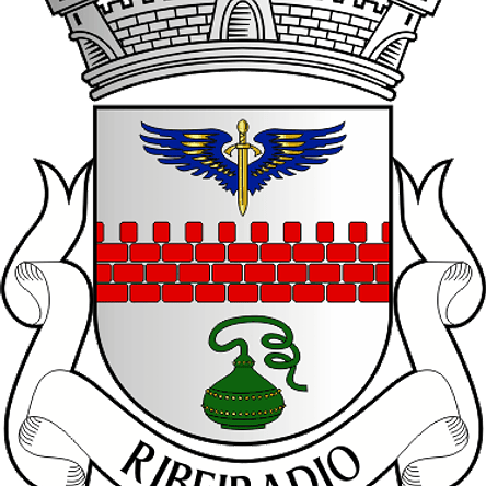 Emblema Bordado Freguesia de Ribeiradio (Oliveira de Frades, Viseu) 1