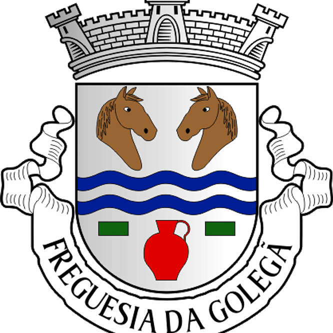 Emblema Bordado Freguesia de Golegã (Golegã, Santarém) 1