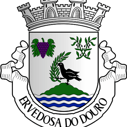 Emblema Bordado Freguesia de Ervedosa do Douro (São João da Pesqueira, Viseu) 1
