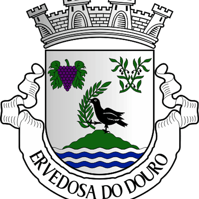 Emblema Bordado Freguesia de Ervedosa do Douro (São João da Pesqueira, Viseu) 1