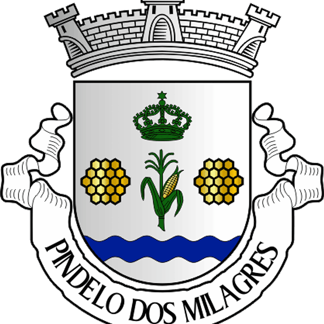 Emblema Bordado Freguesia de Pindelo dos Milagres (São Pedro do Sul, Viseu) 1