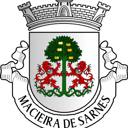 Emblema Bordado Freguesia de Macieira de Sarnes (Oliveira de Azeméis, Aveiro) 1
