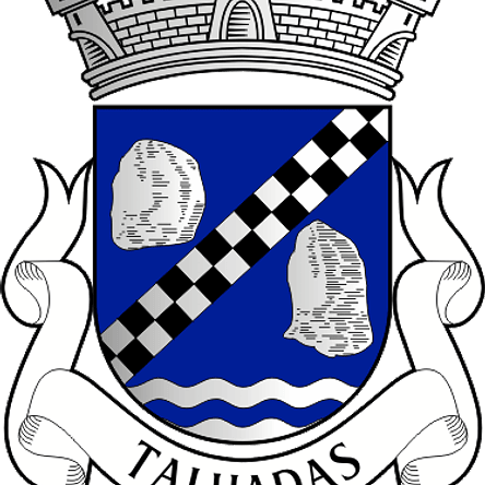 Emblema Bordado Freguesia de Talhadas (Sever do Vouga, Aveiro) 1