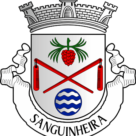Emblema Bordado Freguesia de Sanguinheira (Cantanhede, Coimbra) 1