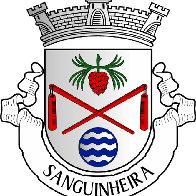 Emblema Bordado Freguesia de Sanguinheira (Cantanhede, Coimbra) 1