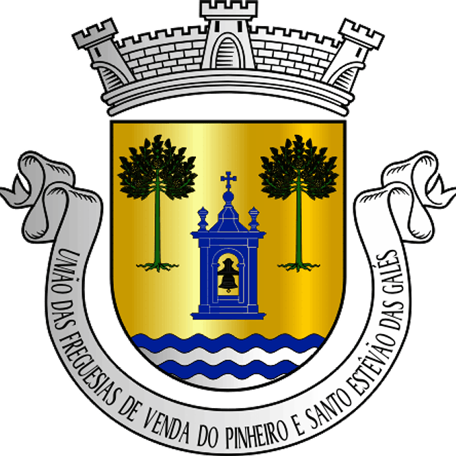 Emblema Bordado Freguesia de União das freguesias de Venda do Pinheiro e Santo Estêvão das Galés (Mafra, Lisboa) 1