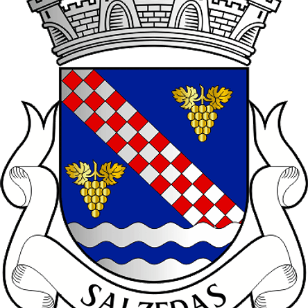 Emblema Bordado Freguesia de Salzedas (Tarouca, Viseu) 1