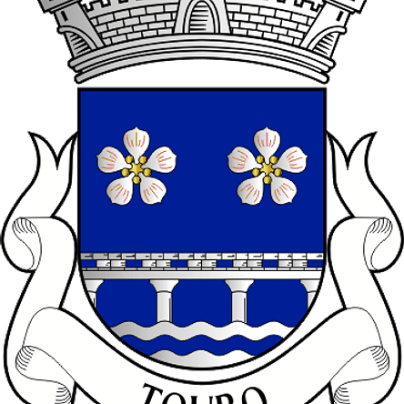 Emblema Bordado Freguesia de Touro (Vila Nova de Paiva, Viseu) 1