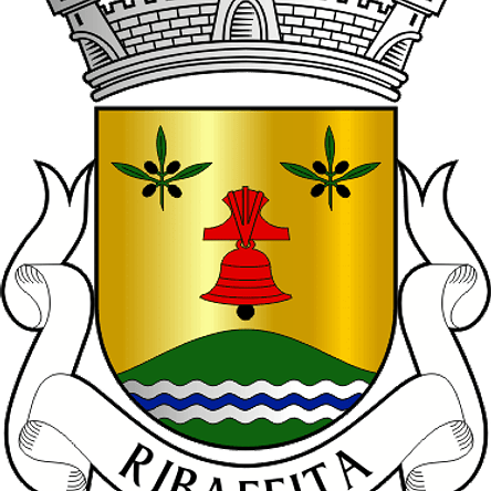 Emblema Bordado Freguesia de Ribafeita (Viseu, Viseu) 1