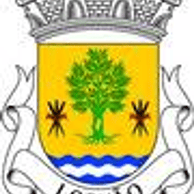 Emblema Bordado Freguesia de Lorvão (Penacova, Coimbra) 1