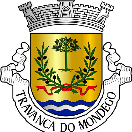 Emblema Bordado Antiga Freguesia de Travanca do Mondego (Penacova, Coimbra) 1