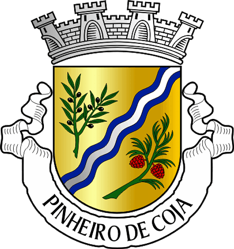 Emblema Bordado Antiga Freguesia de Pinheiro de Coja (Tábua, Coimbra)
