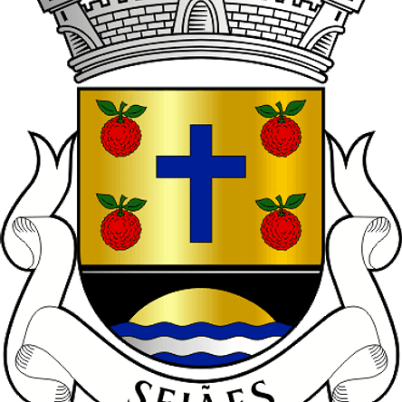 Emblema Bordado Antiga Freguesia de Sejães (Oliveira de Frades, Viseu) 1